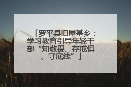罗平县旧屋基乡：学习教育引导年轻干部“知敬畏、存戒惧、守底线”