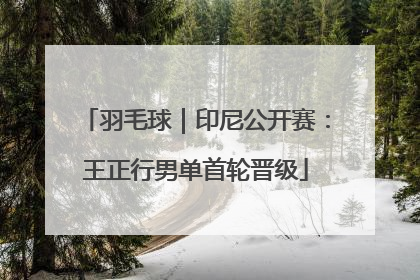 羽毛球｜印尼公开赛：王正行男单首轮晋级