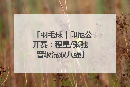 羽毛球｜印尼公开赛：程星/张驰晋级混双八强