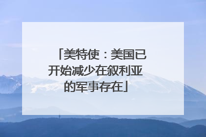 美特使：美国已开始减少在叙利亚的军事存在