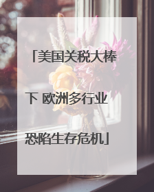 美国关税大棒下 欧洲多行业恐陷生存危机