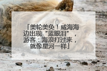 美轮美奂！威海海边出现“蓝眼泪”，游客：海浪打过来，就像星河一样