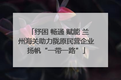 纾困 畅通 赋能 兰州海关助力陇原民营企业扬帆“一带一路”