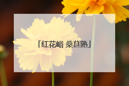 红花峪 桑葚熟