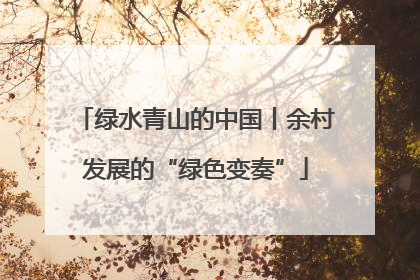 绿水青山的中国丨余村发展的“绿色变奏”