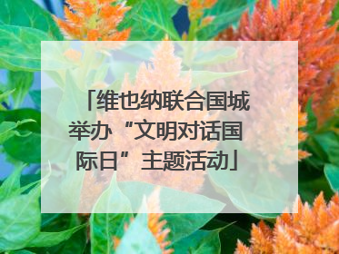 维也纳联合国城举办“文明对话国际日”主题活动