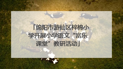 绵阳市游仙区梓棉小学开展小学语文“富乐课堂”教研活动