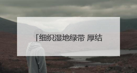 细织湿地绿带 厚结“文旅明珠”——中法武汉生态示范城挖掘绿色发展新动能