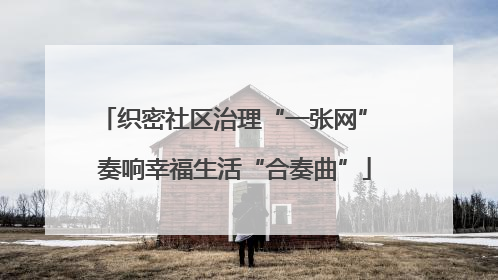 织密社区治理“一张网” 奏响幸福生活“合奏曲”
