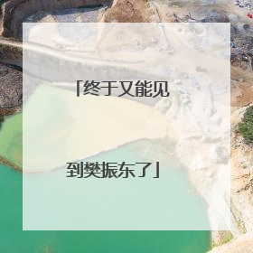终于又能见到樊振东了