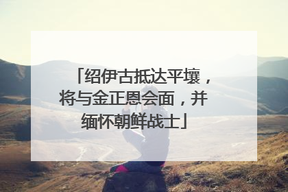 绍伊古抵达平壤，将与金正恩会面，并缅怀朝鲜战士