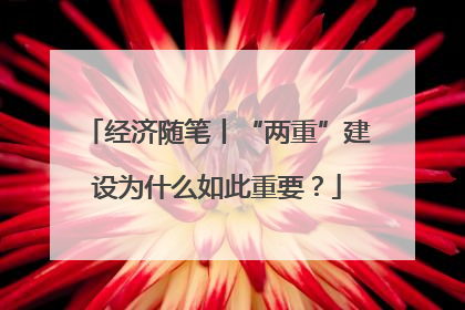 经济随笔丨“两重”建设为什么如此重要？