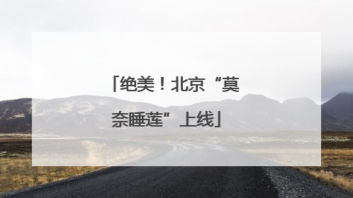 绝美！北京“莫奈睡莲”上线