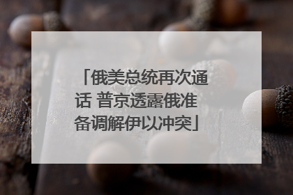 俄美总统再次通话 普京透露俄准备调解伊以冲突