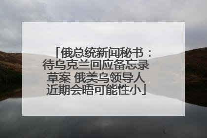 俄总统新闻秘书：待乌克兰回应备忘录草案 俄美乌领导人近期会晤可能性小