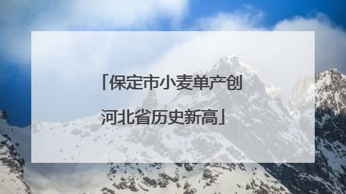 保定市小麦单产创河北省历史新高