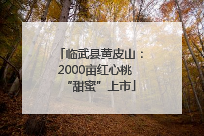 临武县黄皮山：2000亩红心桃“甜蜜”上市