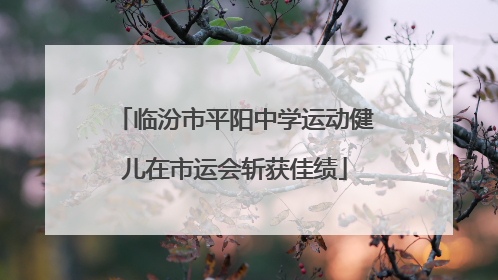 临汾市平阳中学运动健儿在市运会斩获佳绩