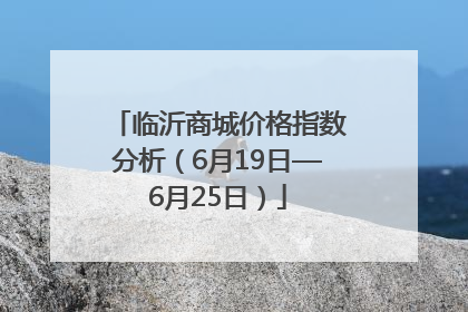 临沂商城价格指数分析（6月19日—6月25日）