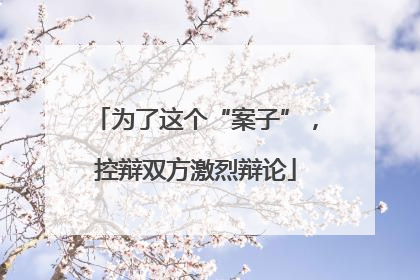 为了这个“案子”，控辩双方激烈辩论