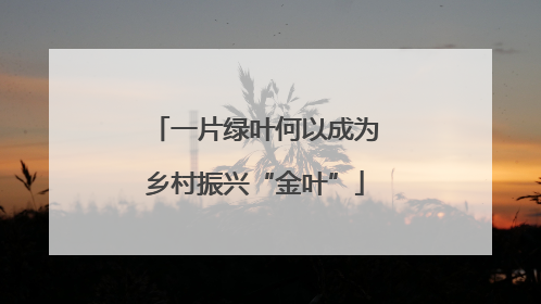 一片绿叶何以成为乡村振兴“金叶”