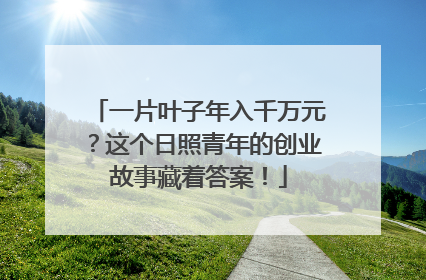 一片叶子年入千万元？这个日照青年的创业故事藏着答案！
