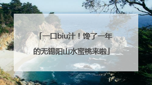 一口biu汁！馋了一年的无锡阳山水蜜桃来啦