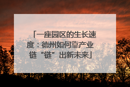 一座园区的生长速度：德州如何靠产业链“链”出新未来