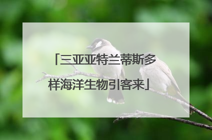 三亚亚特兰蒂斯多样海洋生物引客来