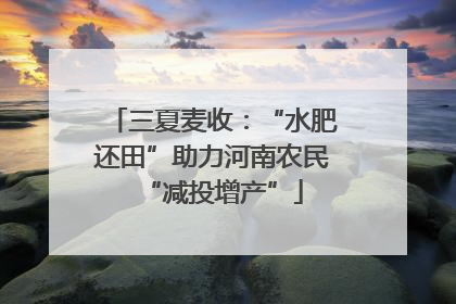 三夏麦收：“水肥还田”助力河南农民“减投增产”