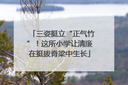三姿挺立“正气竹”！这所小学让清廉在挺拔脊梁中生长