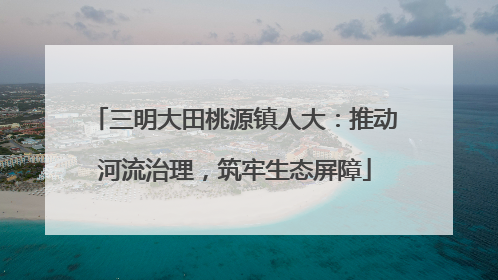 三明大田桃源镇人大：推动河流治理，筑牢生态屏障