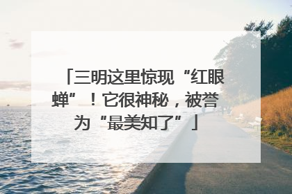 三明这里惊现“红眼蝉”！它很神秘，被誉为“最美知了”