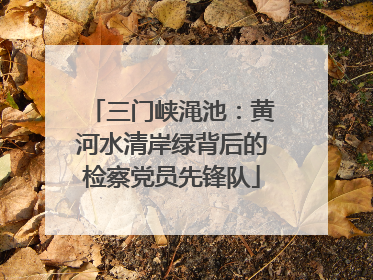 三门峡渑池：黄河水清岸绿背后的检察党员先锋队