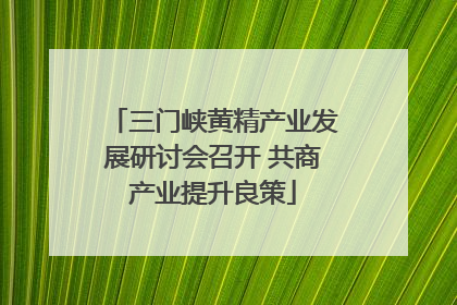 三门峡黄精产业发展研讨会召开 共商产业提升良策