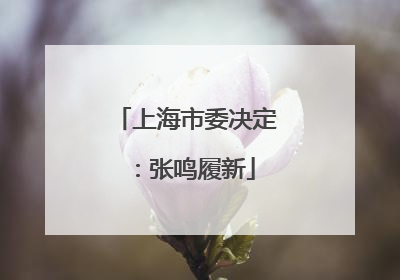 上海市委决定：张鸣履新