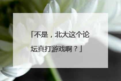 不是，北大这个论坛真打游戏啊？