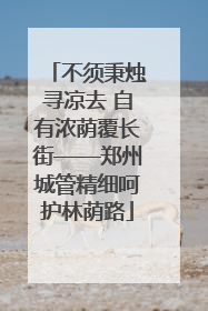 不须秉烛寻凉去 自有浓荫覆长街——郑州城管精细呵护林荫路
