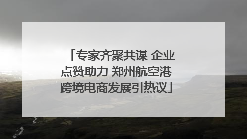 专家齐聚共谋 企业点赞助力 郑州航空港跨境电商发展引热议