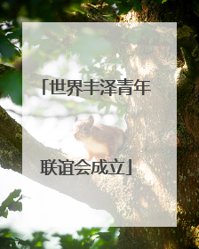 世界丰泽青年联谊会成立