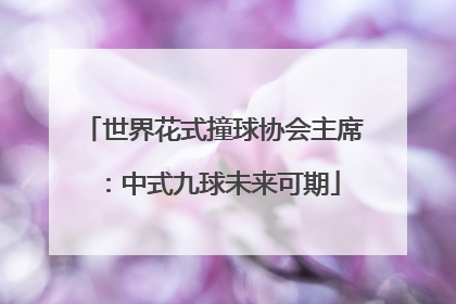 世界花式撞球协会主席：中式九球未来可期