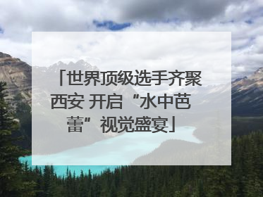 世界顶级选手齐聚西安 开启“水中芭蕾”视觉盛宴