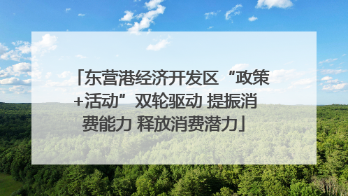 东营港经济开发区“政策+活动”双轮驱动 提振消费能力 释放消费潜力