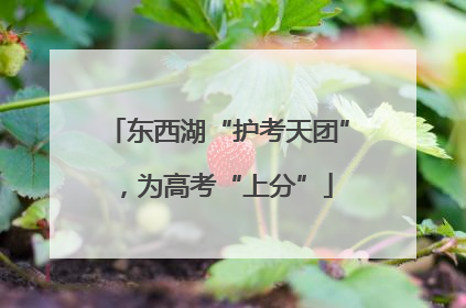 东西湖“护考天团”，为高考“上分”