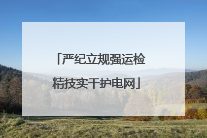 严纪立规强运检 精技实干护电网