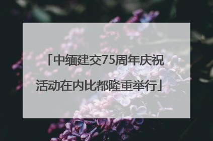 中缅建交75周年庆祝活动在内比都隆重举行