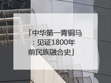 中华第一青铜马：见证1800年前民族融合史