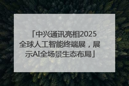 中兴通讯亮相2025全球人工智能终端展，展示AI全场景生态布局