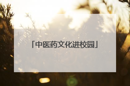 中医药文化进校园