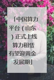 中国算力平台（山东）正式上线 算力租赁有望迎黄金发展期